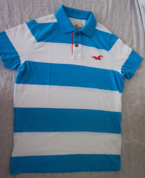 Polo Hollister