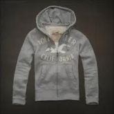 Moletom Hollister