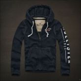 Moletom Hollister